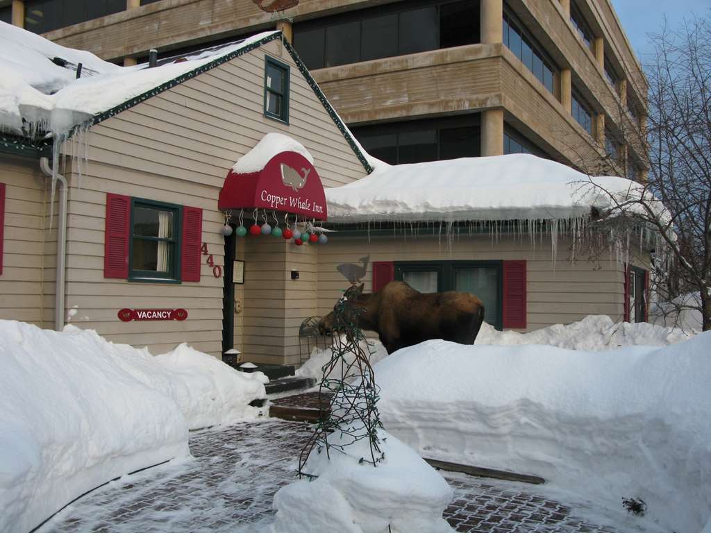 Copper Whale Inn Anchorage Extérieur photo